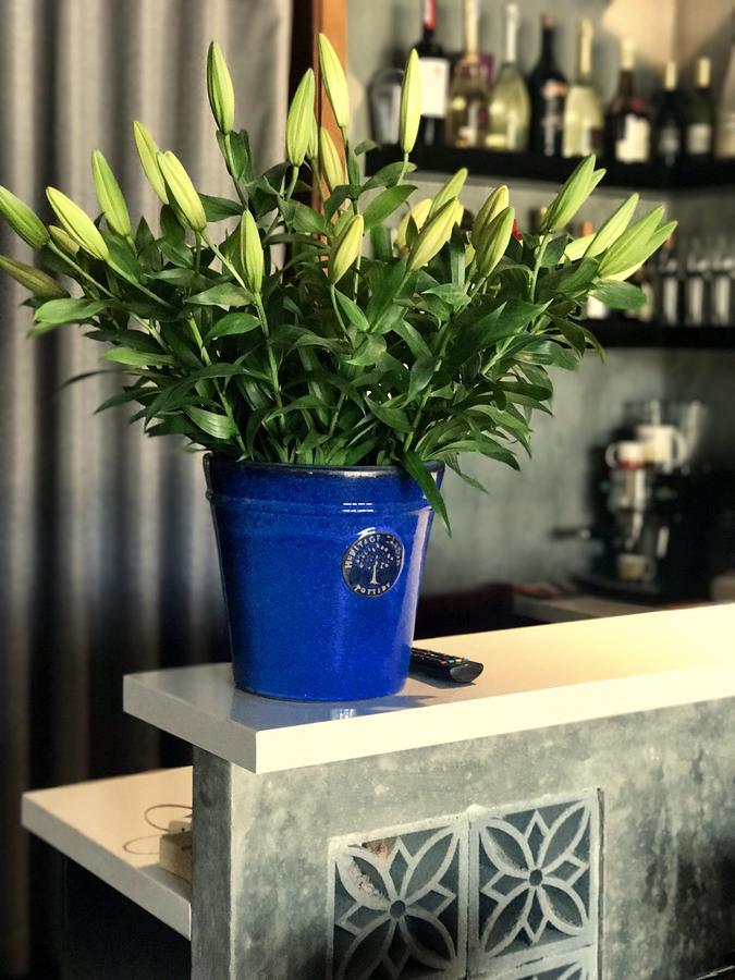 Danang Moment - Boutique Serviced Apartment Extérieur photo